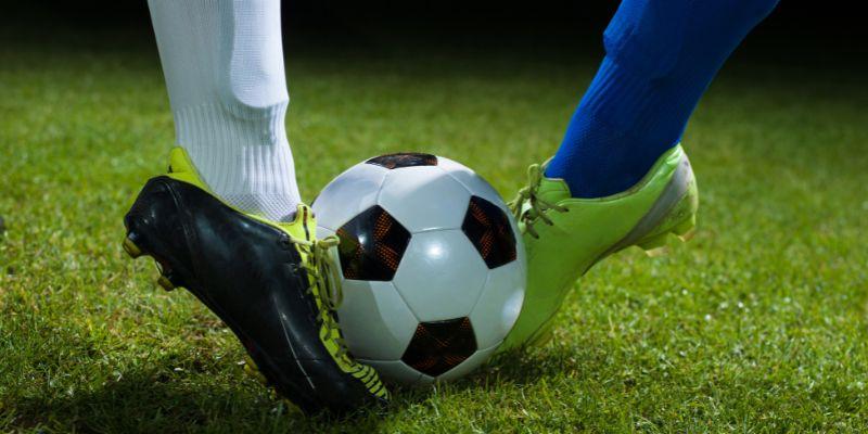 Danh sách các bộ môn cá cược hấp dẫn tại Panda Sports
